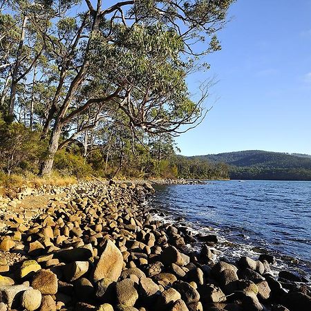 Nrma Port Arthur Holiday Park מראה חיצוני תמונה