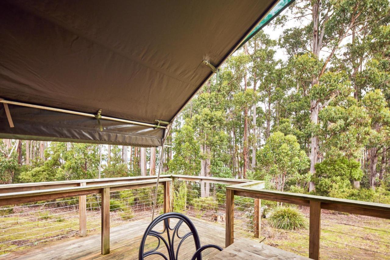 Nrma Port Arthur Holiday Park מראה חיצוני תמונה
