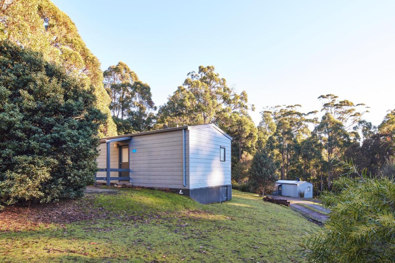 Nrma Port Arthur Holiday Park מראה חיצוני תמונה