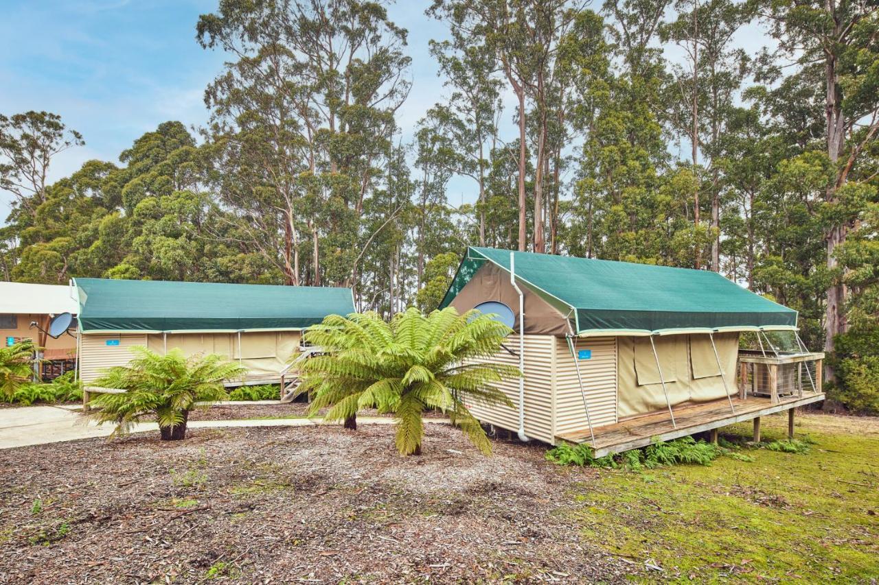 Nrma Port Arthur Holiday Park מראה חיצוני תמונה