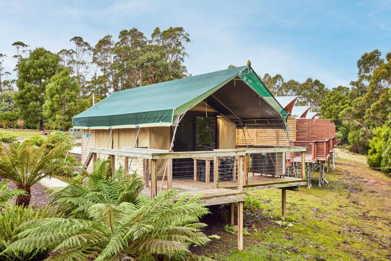 Nrma Port Arthur Holiday Park מראה חיצוני תמונה