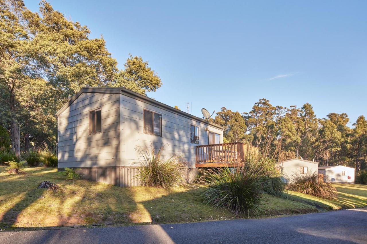 Nrma Port Arthur Holiday Park מראה חיצוני תמונה
