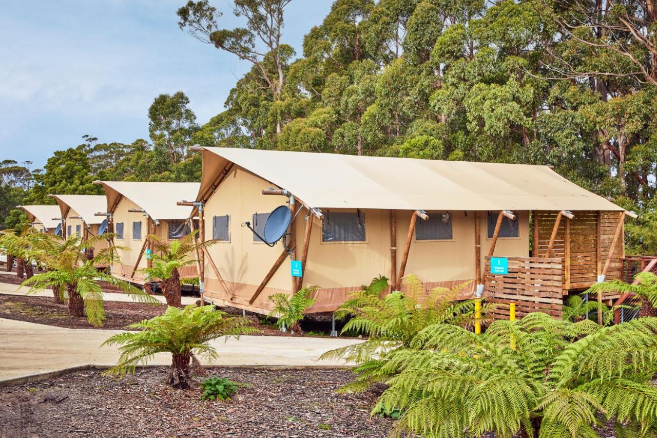 Nrma Port Arthur Holiday Park מראה חיצוני תמונה