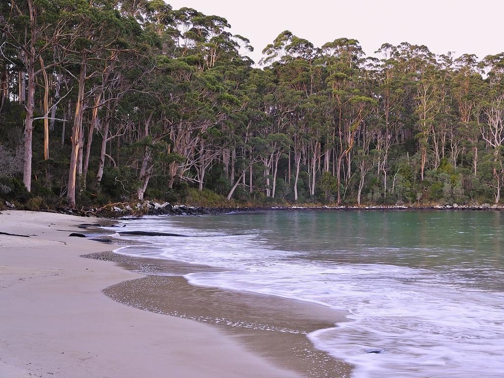 Nrma Port Arthur Holiday Park מראה חיצוני תמונה
