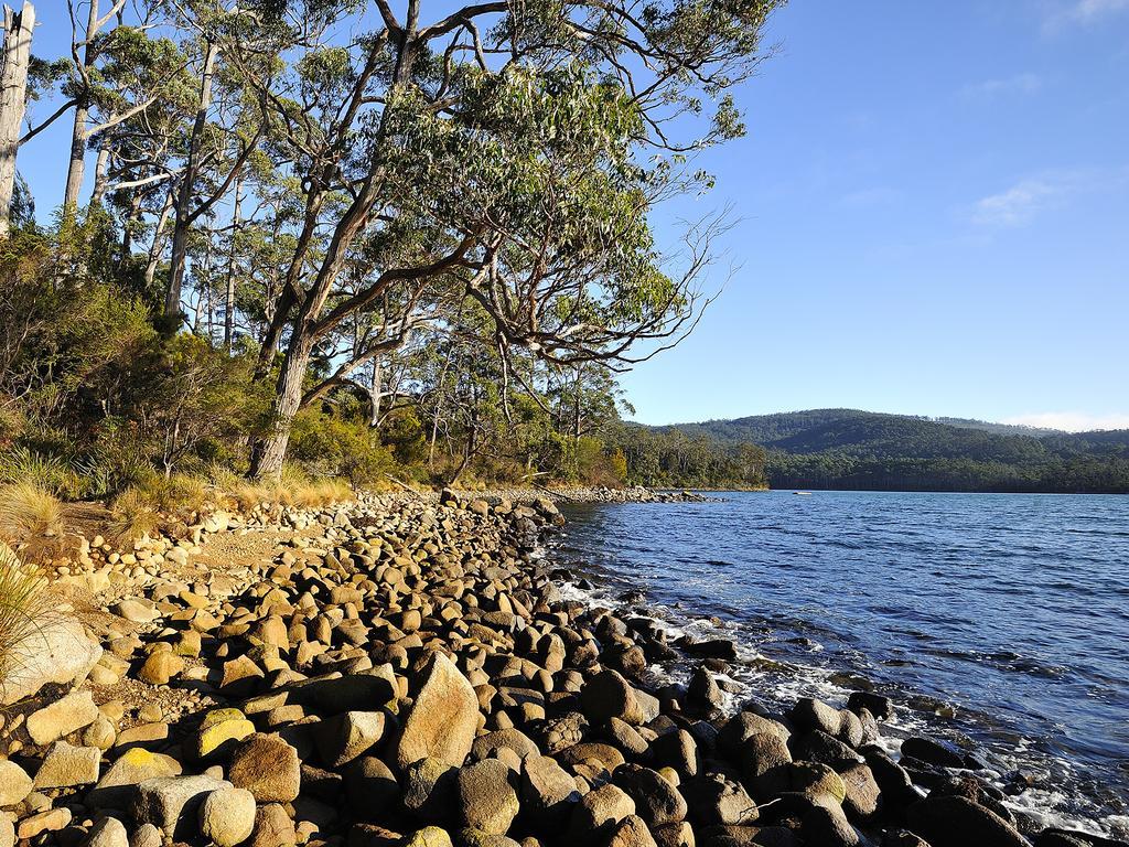 Nrma Port Arthur Holiday Park מראה חיצוני תמונה
